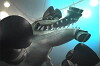 Crocotires Traction AAA (2000)