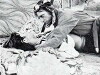 Jupiter (1971)
