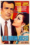 Kaldirim çiçegi (1969)