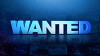 Wanted (2013)