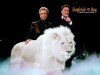 Siegfried and Roy Film (2017)