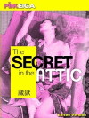 The Secret in the Attic (2005)