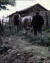 The Hamlet (1990)