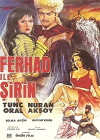 Ferhat and Sirin (1966)