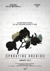 Sprouting Orchids (2014)