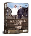 A Stable Life (2009)