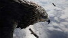 Migration Feathers (2016)