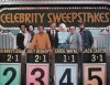 Celebrity Sweepstakes (1974)