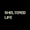 Sheltered Life (2016)