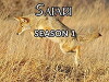 Safari (1996)