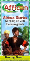 African Diaries (2011)