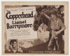 The Copperhead (1920)