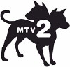MTV 2: Indie Week Image Campaign (2009)