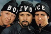 Get Ready to Be Boyzvoiced (2000)