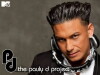 The Pauly D Project (2012)