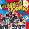 Viva Radio 2 in TV (2007)