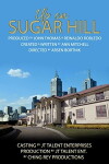 Up on Sugar Hill (2017)