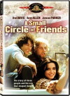 A Small Circle of Friends (1980)