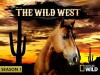 The Wild West (2013)