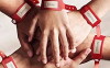 The Red Band Society (2014)
