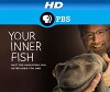 Der Fisch in uns (2014)