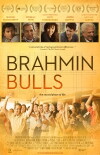 Brahmin Bulls (2013)