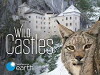 Wild Castles (2017)
