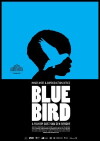 Blue Bird (2011)