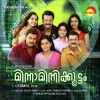 Minnaminnikkoottam (2008)