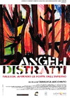Angeli distratti (2007)
