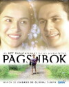 Pagsubok (2016)