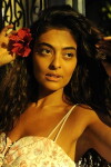 Gabriela (2012)