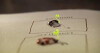 Les 4 saisons d'Antoine (2012)
