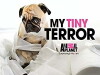 My Tiny Terror (2014)