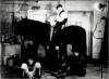 Horse (1965)