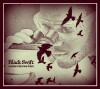 Black Swift (2019)