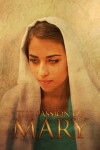 Mary, the Untold Story (2016)