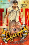Tiger (2017)