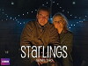 Starlings (2012)
