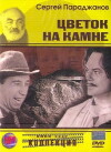Flower on the Stone (1962)
