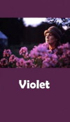 Violet (2000)