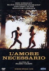 L'amore necessario (1991)
