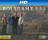 Polygamy USA (2013)