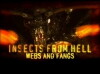 Insects from Hell (2005)