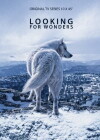 Looking for Wonders (2018)