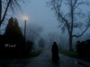 Wraith (2017)