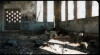 The Bird Who Stops in the Air (1999)
