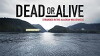 Dead or Alive (2015)