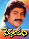 Peddarikam (1992)