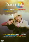 The Catfish Summer (2007)